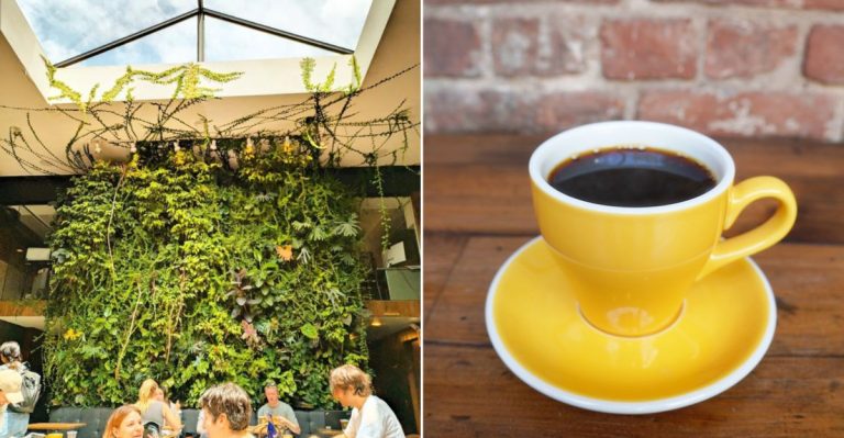 Legendary Coffee At This New York Roastery Defines Morning Rituals