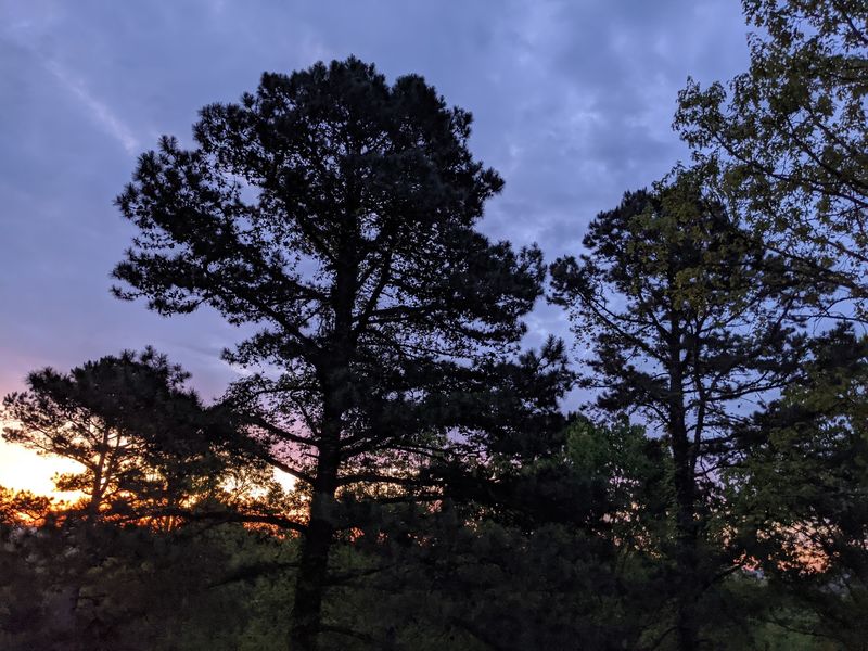 The Night Ends In A Sky Full Of Color