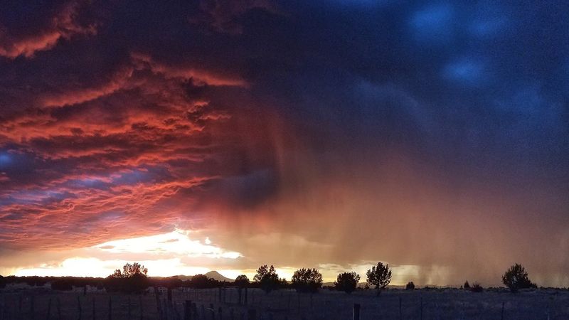 The Night Sky That Steals The Show