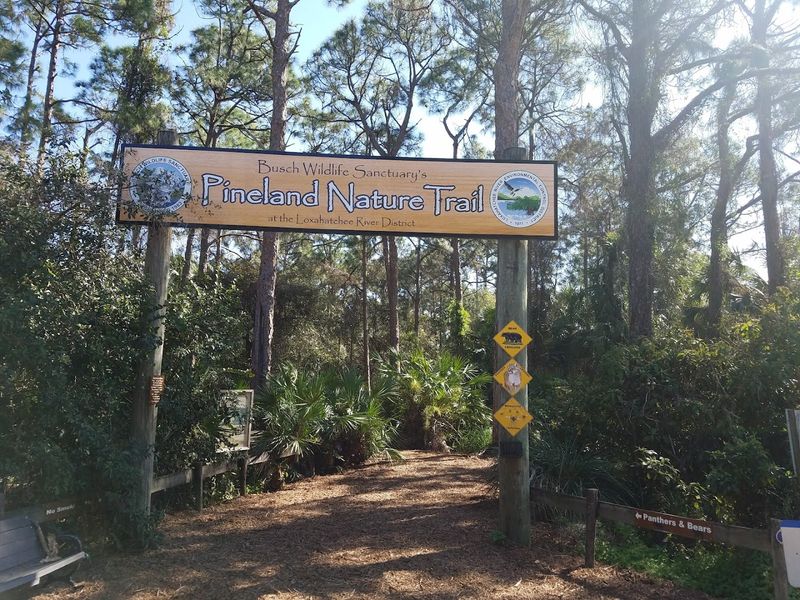 Meet The Volunteers Who Make It All Happen