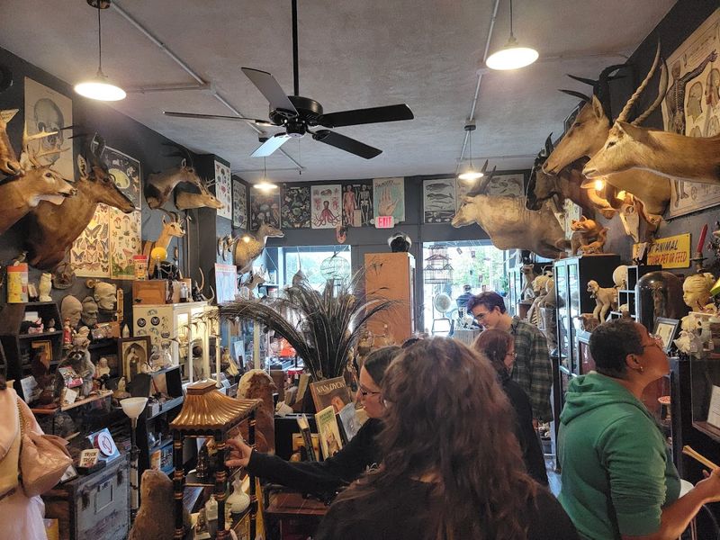 The Atmosphere Inside Is Unlike Anything Else in Lakewood