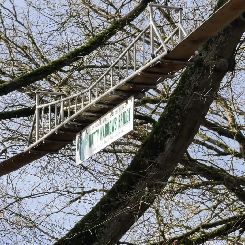 The Nutty Narrows Bridge Itself