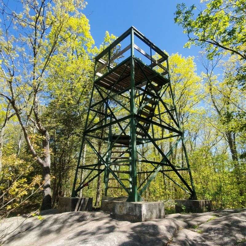 The Observation Tower Worth The Climb
