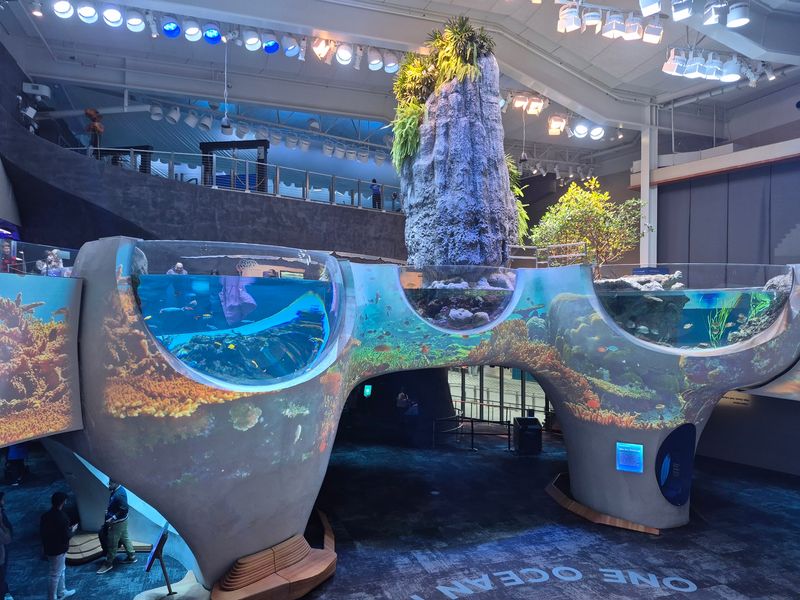 The Ocean Pavilion and Its Giant Tank The Ocean Pavilion and Its Giant Tank