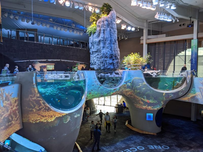 The Ocean Pavilion