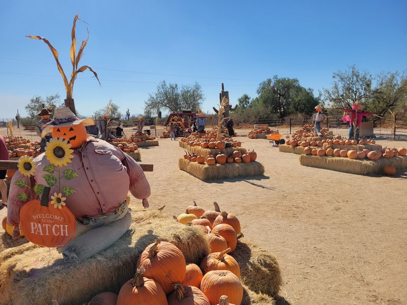 The October Pumpkin Patch Extravaganza
