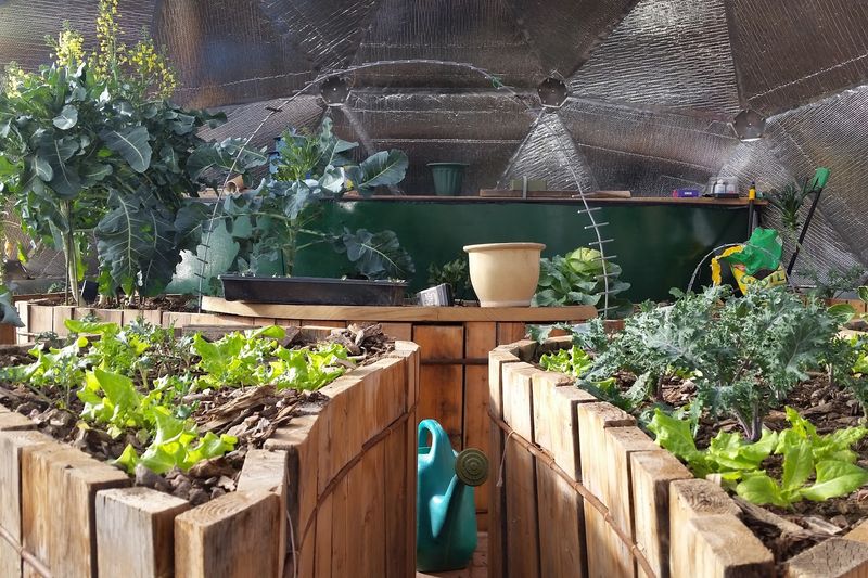 The Off-Grid Life And Self-Sustaining Sanctuary Model