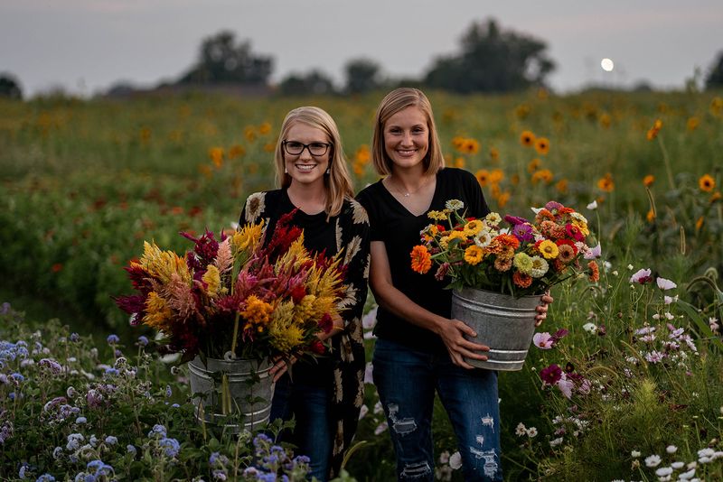 The Ohio Flower Girls U-Pick Flower Patch, Bucyrus, OH