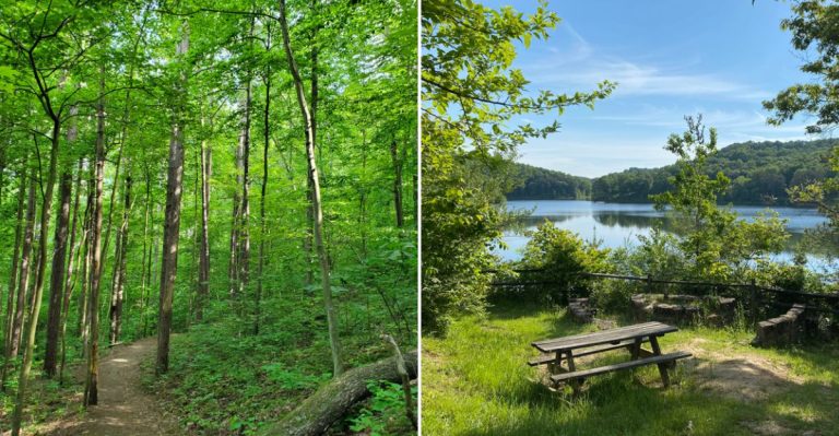 The Ohio Lakeside Getaway Locals Love Most But Want To Keep A Secret