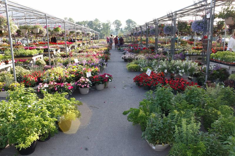 The Oldest And Largest Outdoor Market In Bucks County