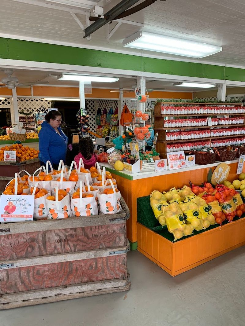 Staff Provide Helpful Guidance Before You Head Into The Grove