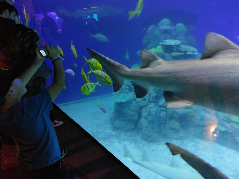 Interactive Exhibits And The Flash Flood Experience