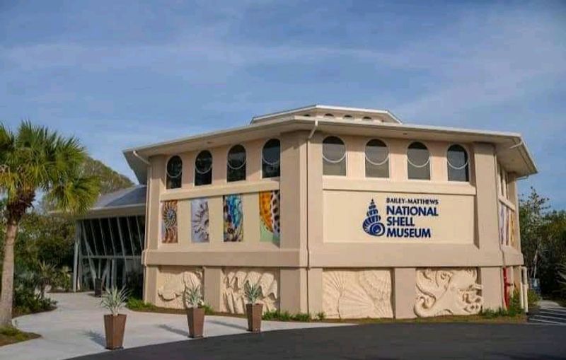 The Only Museum In The U.S. Dedicated Entirely To Shells