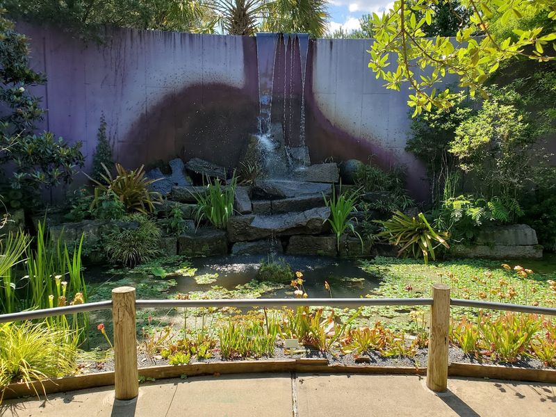 The Waterfall Feature That Adds Drama To The Landscape