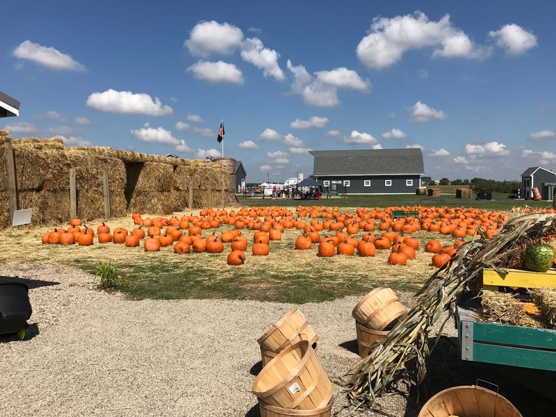 The Orchard & Company, Plain City