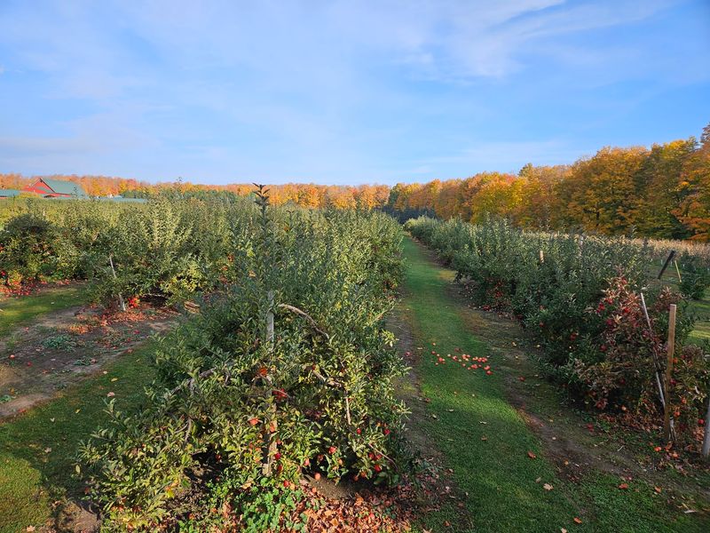 The Orchard Starts Before The Sign Does