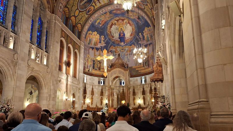 The Organ That Fills Every Corner Of The Room