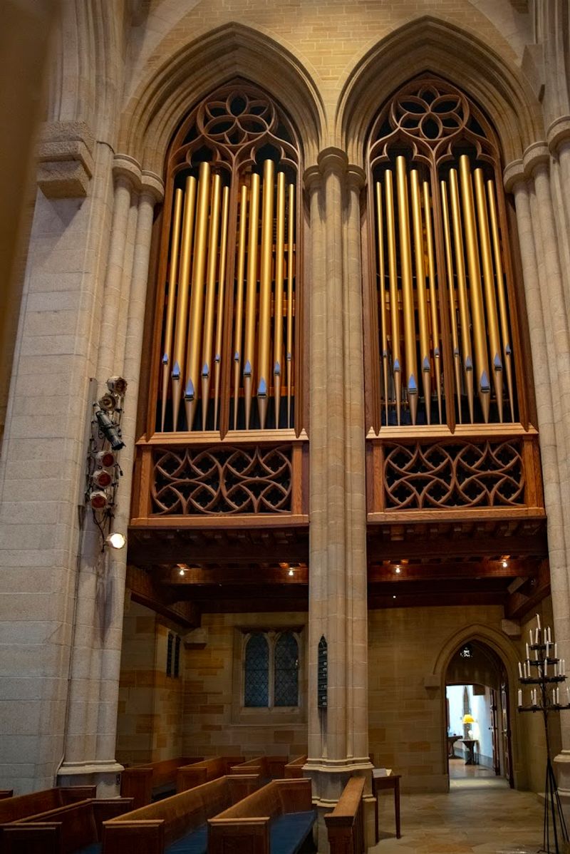 The Organ Vespers Experience That Moves People The Organ Vespers Experience That Moves People