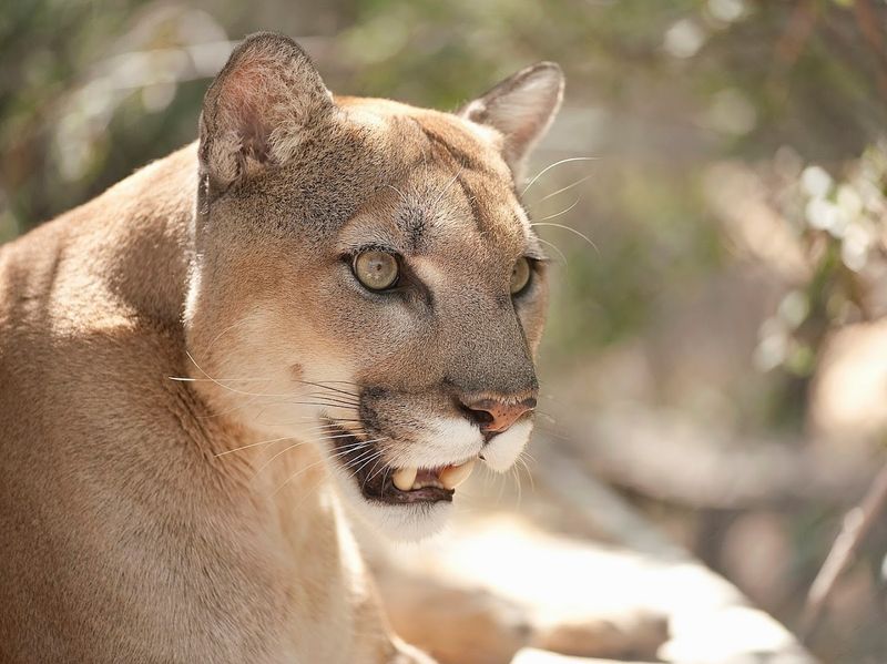 The Origin Story Behind A Desert Sanctuary