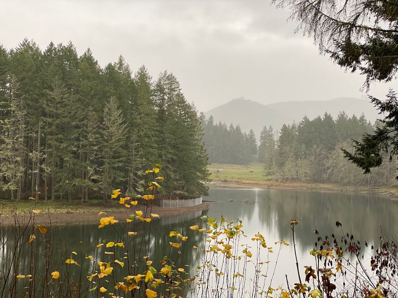 The Origin Story Behind This 725-Acre Sanctuary