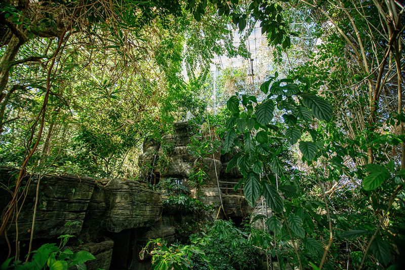 Walking Through Five Distinct Biomes Under One Roof
