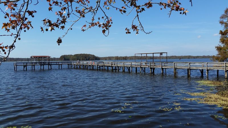 How The Santee Cooper Project Changed Everything