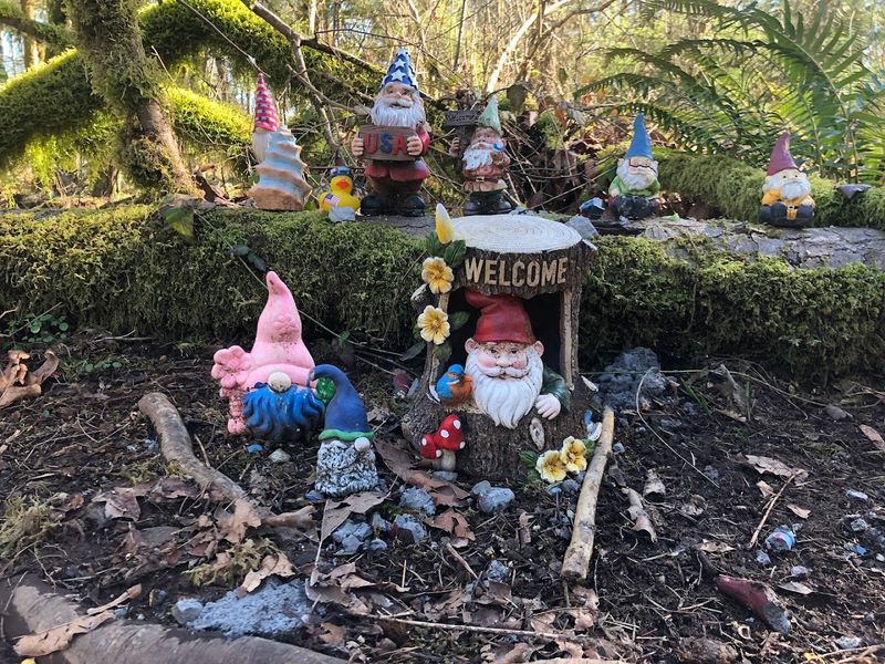 The Origins Of The Gnome Trail