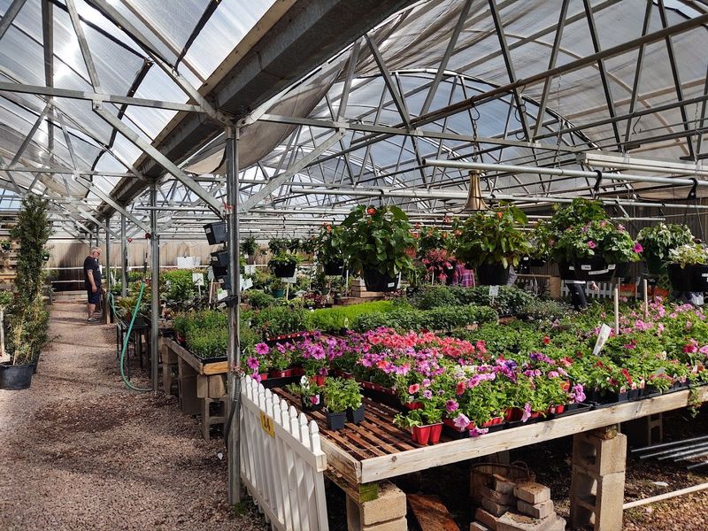 Final Verdict: The Plant Stop Colorado Springs Actually Deserves