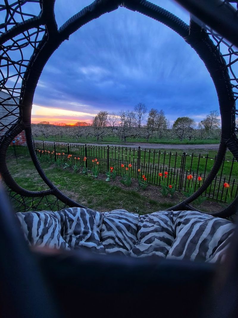 The Outdoor Space and Surrounding Atmosphere