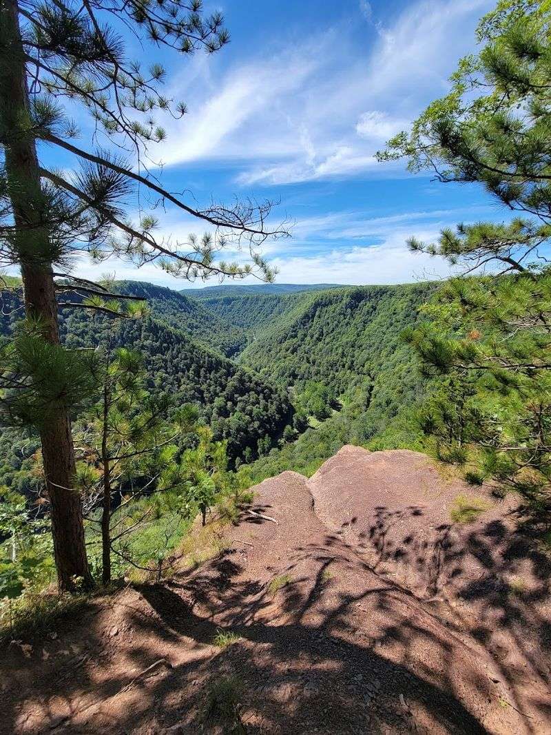 The Overlook Reveals Pennsylvania's Grand Canyon In Full Glory