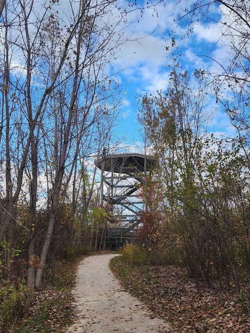 The Overlook Tower and Its Stunning Panoramic Views