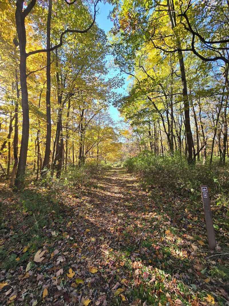 Horseback Riding on Trails With Real Character