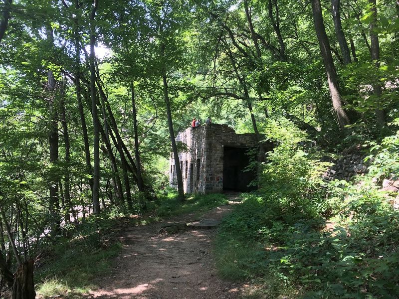 The Dinky Shed and What It Adds To The Experience