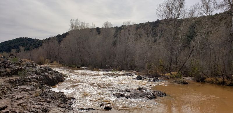Seasonal Timing And Water Levels