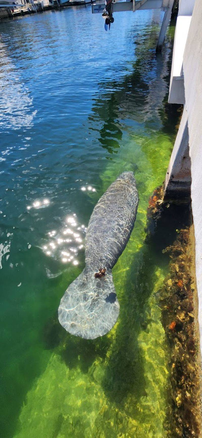 Sport Fishing Culture That Runs Deeper Than The Reefs