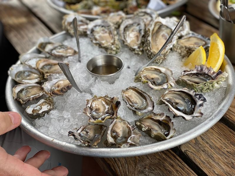 The Oysters Here Are Genuinely In A League Of Their Own