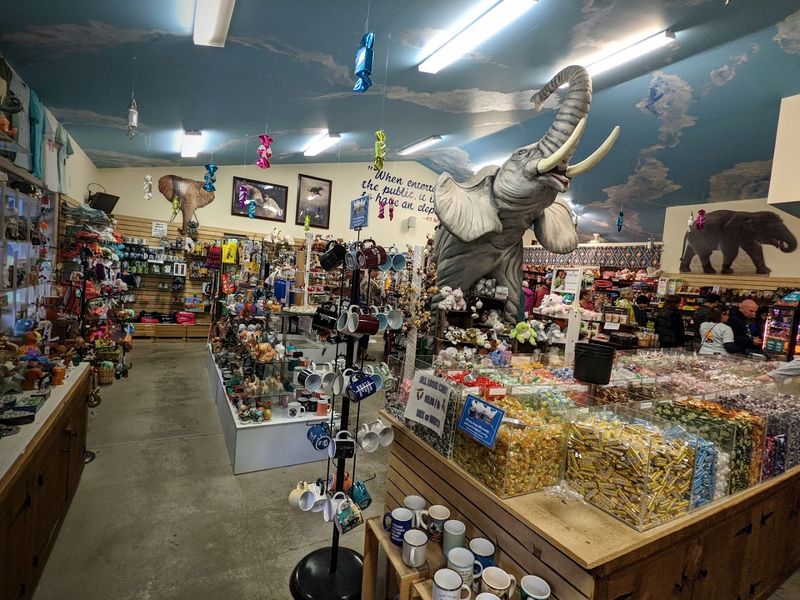 The Enchanted Garden Out Back