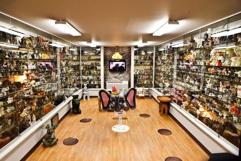 The Elephant Museum Section And Its Hundreds Of Artifacts