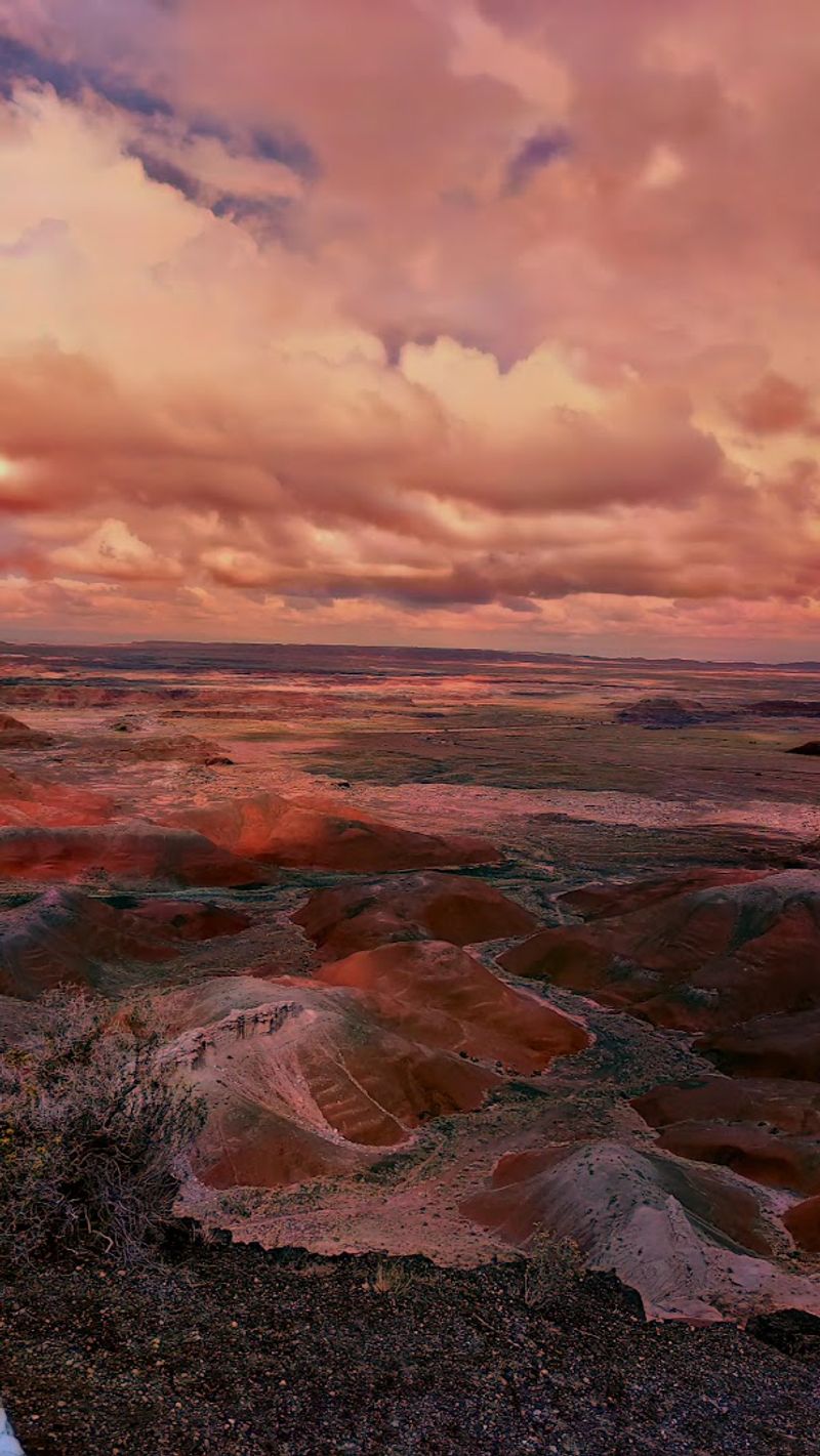 Fossils Beyond Wood: The Ancient Creatures Of The Triassic