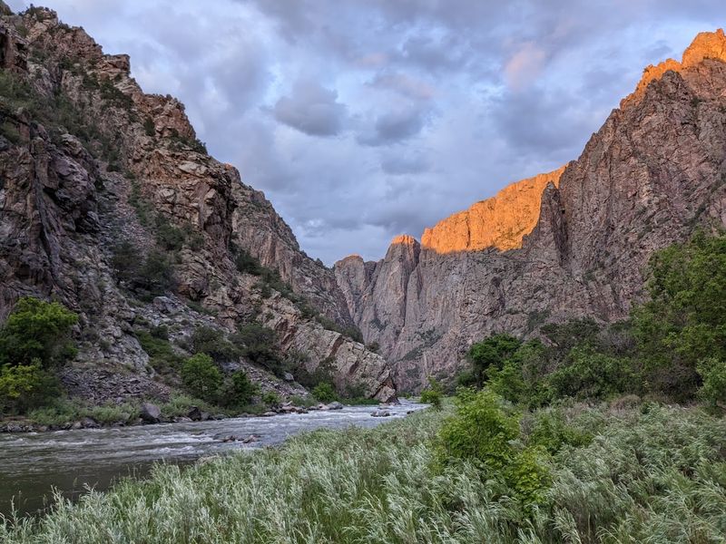 Wildlife You Did Not Schedule