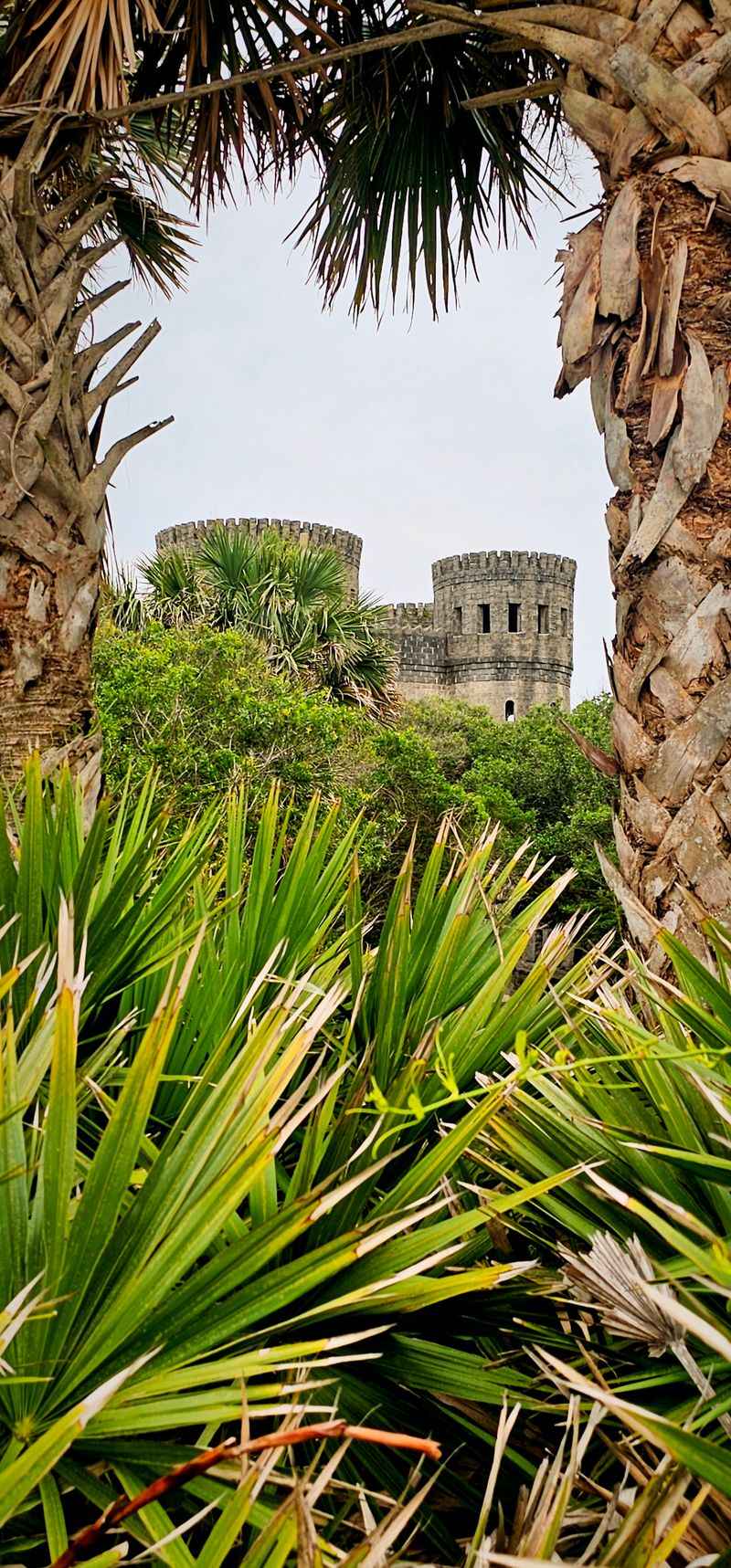 The Origin Story And Vision