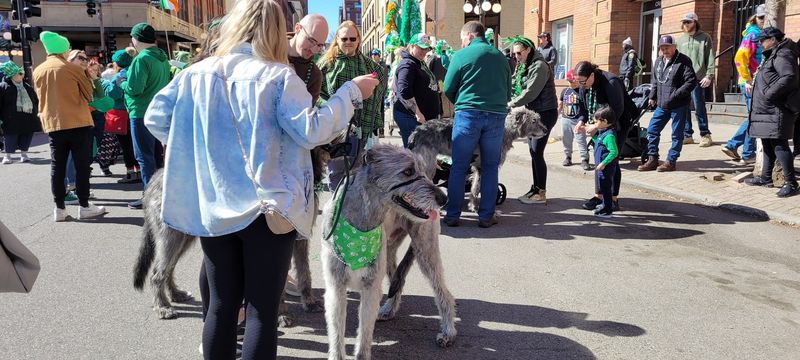 A St. Patrick's Day Tradition That Still Draws Huge Crowds