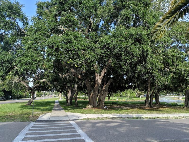 A Festival That Welcomes Every Age And Background