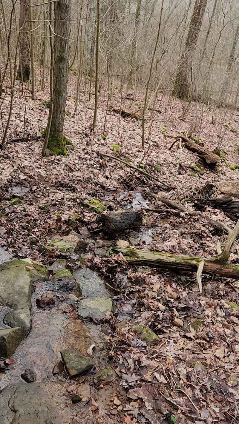 Wildlife And Plant Life Worth Watching For