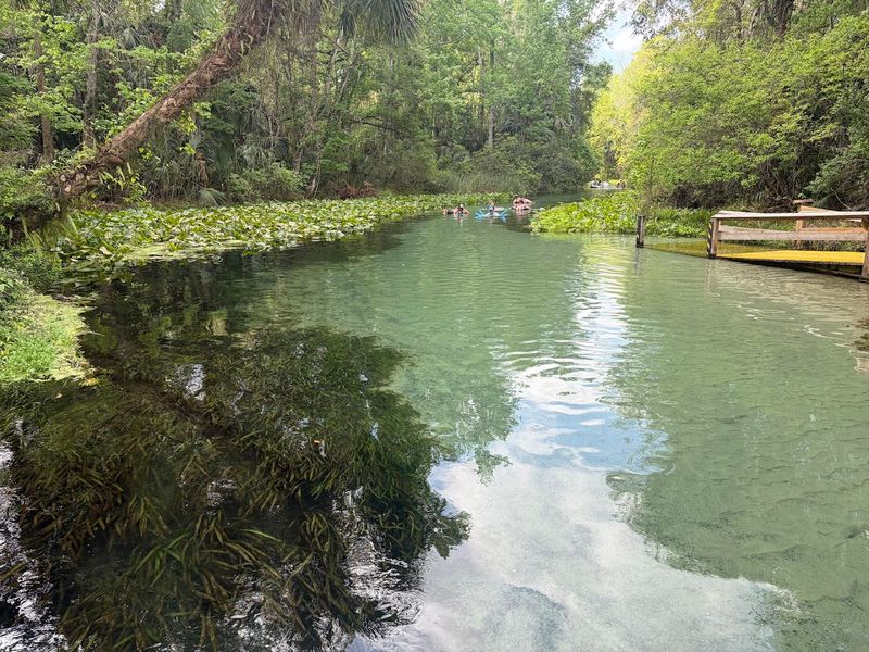 Wildlife Sightings Are Surprisingly Common Here