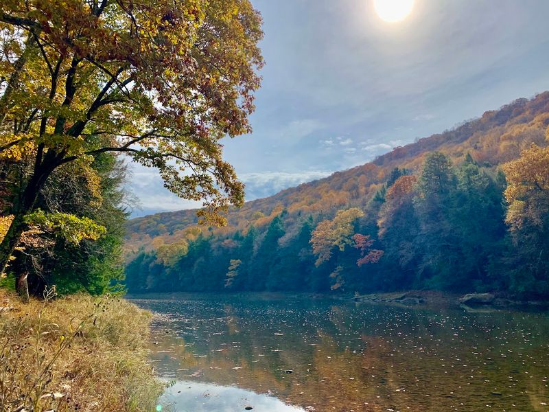 The Park Covers A Massive 8,500 Acres The Park Covers A Massive 8,500 Acres