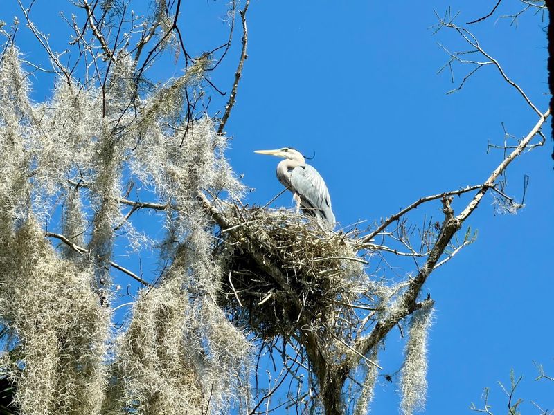 Multiple Trails Wind Through The Island For All Skill Levels