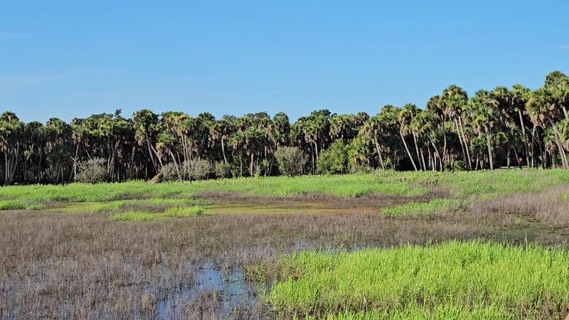 The Park Covers Over 37,000 Acres Of Wild Florida Landscape