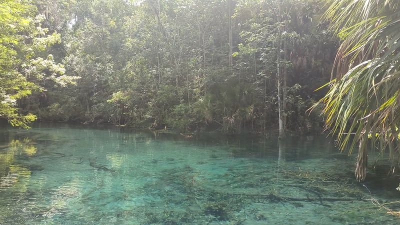 The Park Encompasses Multiple Ecosystems Within Its 5,000 Acres