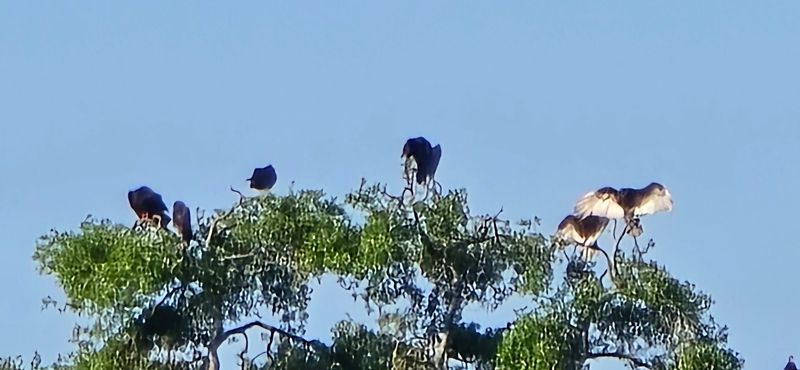 Wildlife Sightings Are A Regular Part Of Any Visit